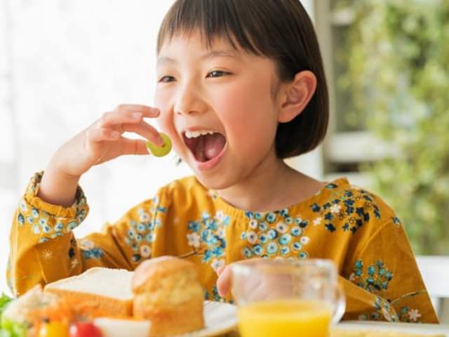 特定非営利活動法人丸亀四六会